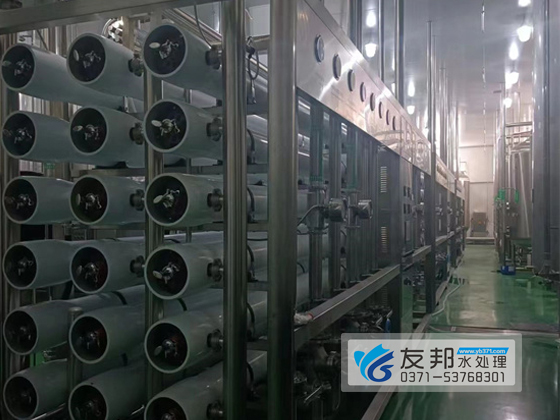 焦作云臺(tái)山水廠40噸水處理設(shè)備